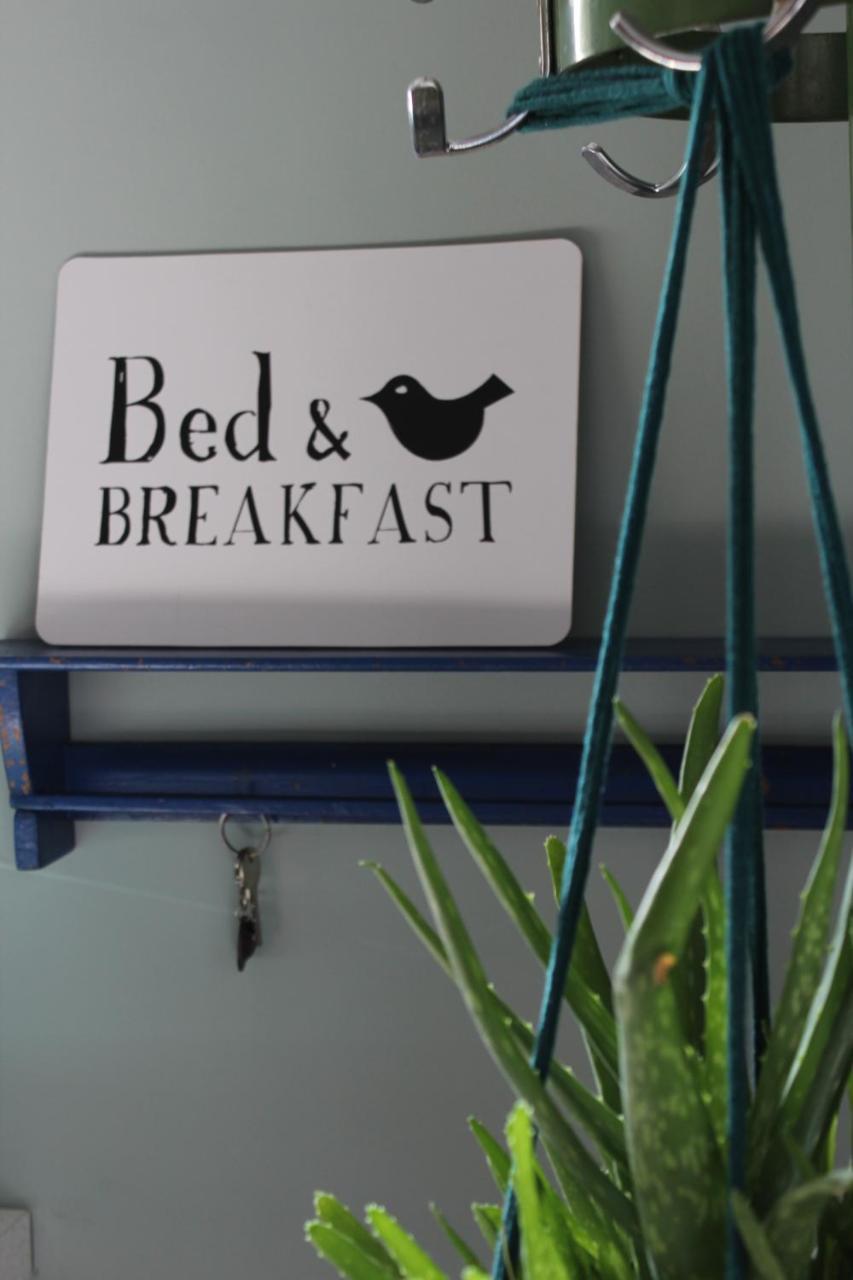 Wanroij Het Aambeeld Bed & Breakfast エクステリア 写真