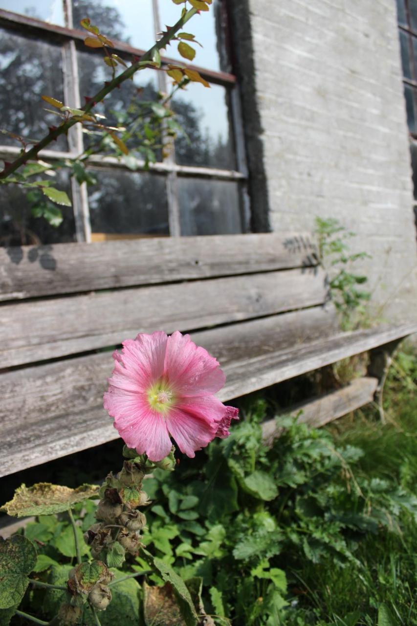 Wanroij Het Aambeeld Bed & Breakfast エクステリア 写真